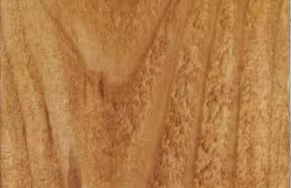 Wood Fence Color Option 1